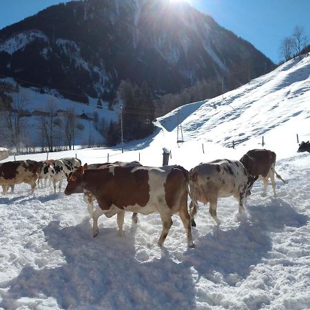 Bio-Bauernhof Schiederhof Leilighet Fusch an der Grossglocknerstrasse Eksteriør bilde