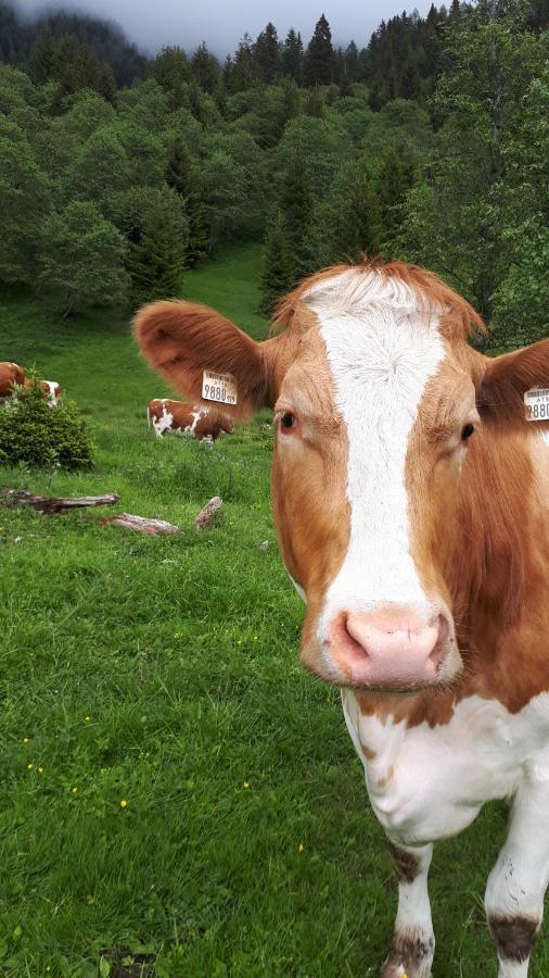 Bio-Bauernhof Schiederhof Leilighet Fusch an der Grossglocknerstrasse Eksteriør bilde