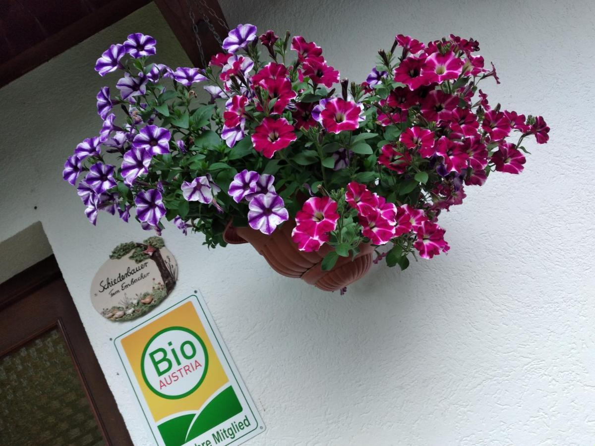 Bio-Bauernhof Schiederhof Leilighet Fusch an der Grossglocknerstrasse Eksteriør bilde